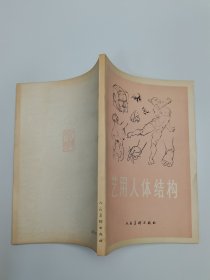 艺用人体结构