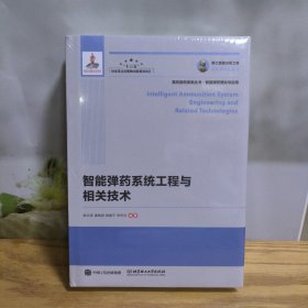 国之重器出版工程 智能弹药系统工程与相关技术