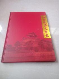 丛台政协文史录