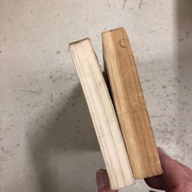 天龙八部（一、四）