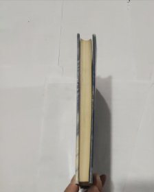 近现代汉语新词词源词典