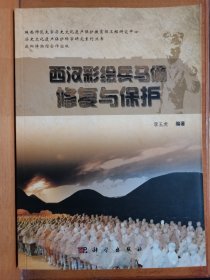 历史文化遗产保护科学研究系列丛书：西汉彩绘兵马俑修复与保护