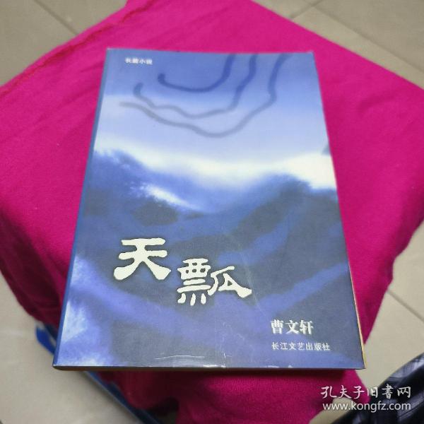 天瓢：16开简装本