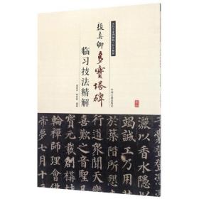 颜真卿多宝塔碑临习技法精解/历代名家碑帖临习技法精解 普通图书/艺术 编者:周世闻//韩胜辉 中州古籍 9787534858956