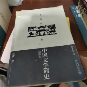 中国文学简史，书里写字划线