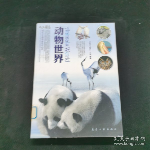 动物世界