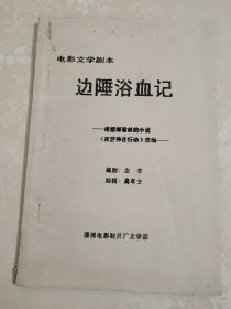 电影文学剧本:边陲浴血记