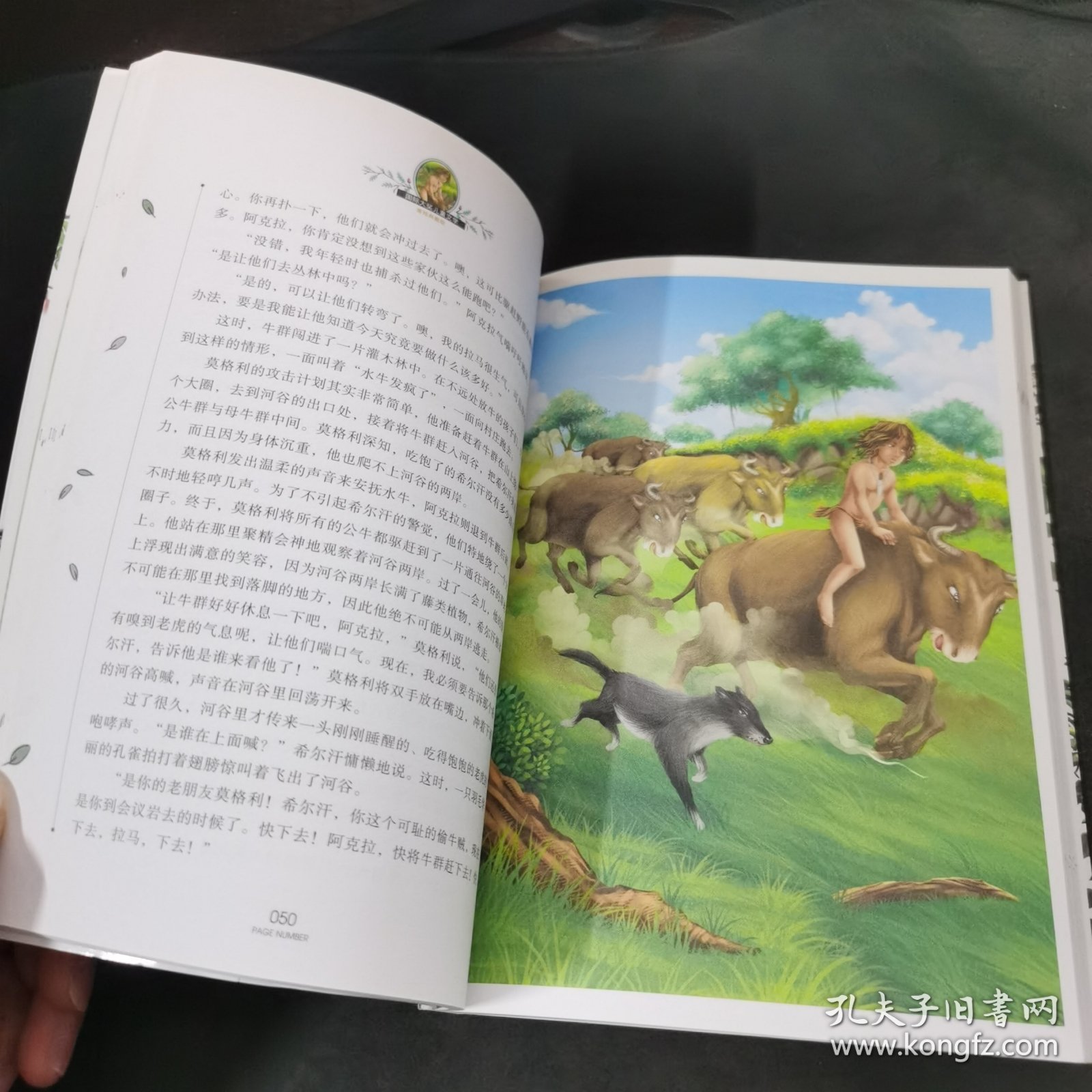 丛林历险记 国际大奖儿童文学 (美绘典藏版)