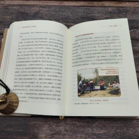 【好书不漏】陈胜前签名钤印（限量80本）《中国文化基因的起源：考古学的视角》（刷金边；一版一印）