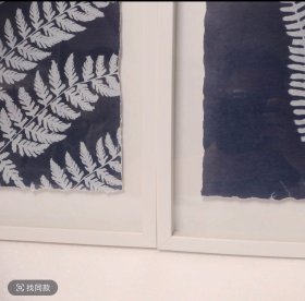 20250114J05 蕨类植物2联装饰画 外框尺寸：52*61 厘米 出口品质 带玻璃