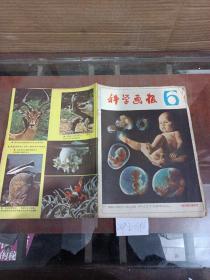 科学画报1982年第6期