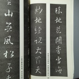 中国古代碑帖集联.怀仁集王羲之圣教序集联