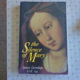 The Silence of Mary Ignacio Larranaga 英语进口原版