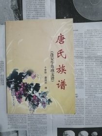 唐氏族谱（蓬安牛角垅支谱）