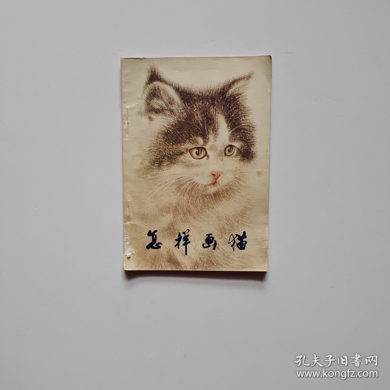 怎样画猫