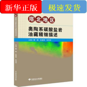 塔北地区奥陶系碳酸盐岩油藏精细描述