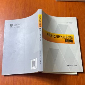 刑法适用热点问题研究