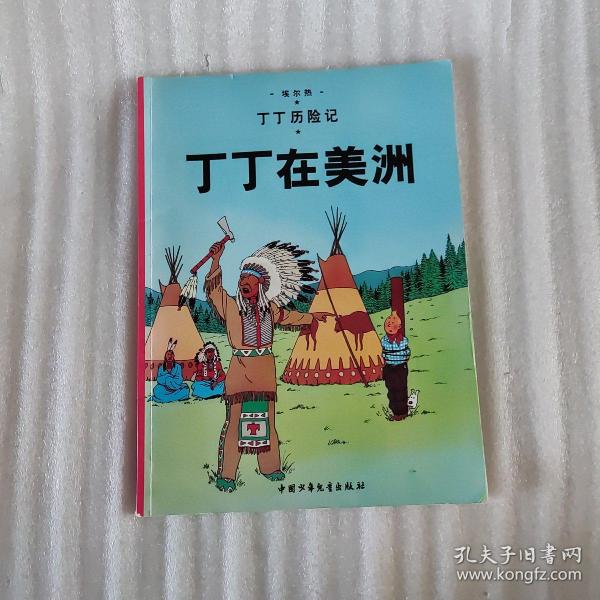 丁丁历险记·丁丁在美洲