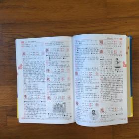 九年义务教育必备工具书：小学生多功能字典（双色插图本）