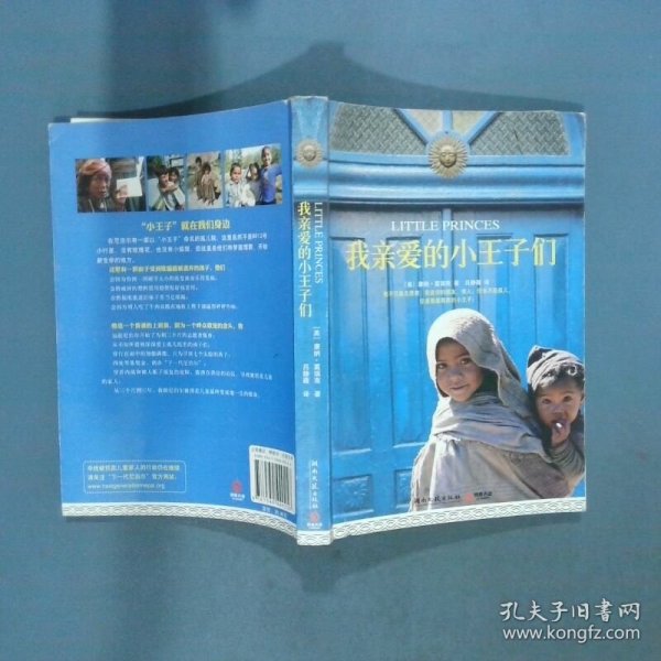 我亲爱的小王子们   美 葛瑞南著 湖南文艺出版社