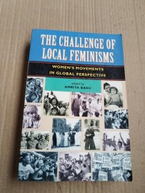THE CHALLENGE OF LOCAL FEMINISMS