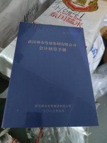 武汉城市发展集团有限公司会计核算手册