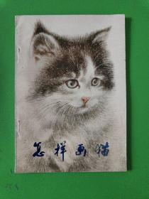 怎样画猫