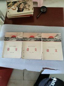 湖南省中学试用课本语文第四、五、六册（3本）