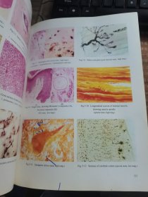 21世纪高等医学院校教材：组织学与胚胎学实验指南（英文版）