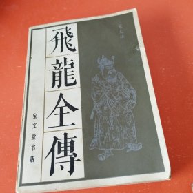 飞龙全传