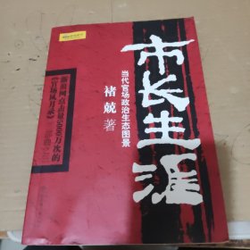 市长生涯