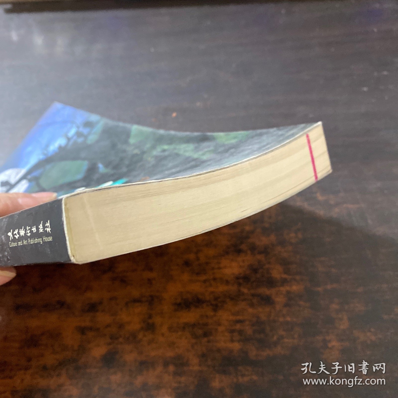 河山遗宝：当阳地宫