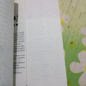女生苏丹——小布老虎丛书