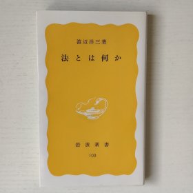 日文书 法とは何か (岩波新书)