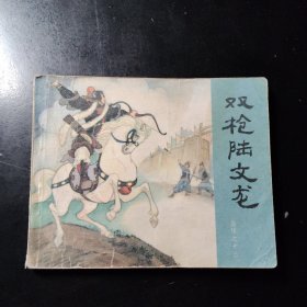 双枪陆文龙—岳传之十三