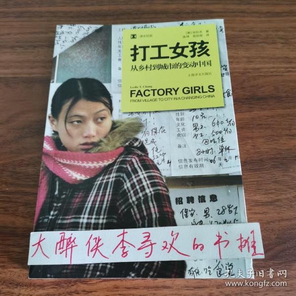 打工女孩：从乡村到城市的变动中国