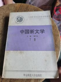 中国新文学 下册