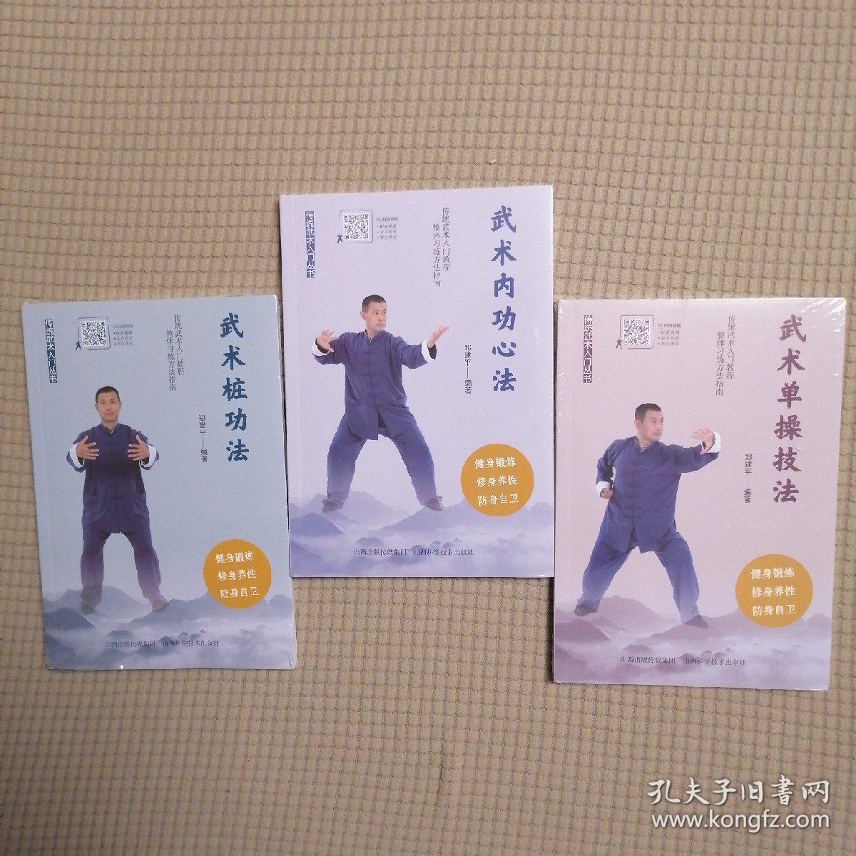 传统武术入门丛书 武术桩功法 内功心法 单操技法 入门套路 实战技击 5册全