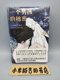 一个男孩的秘密 （全新未拆封，随书有赠品）