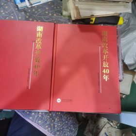 湖南改革开放40年，上下册