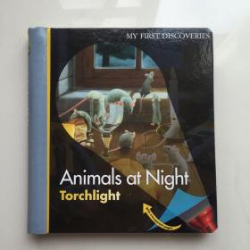 英文原版  Animals at Night  夜晚的动物