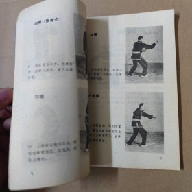 李拳 广东南拳名家套路 89年一版一印