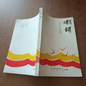 潮头 保定市企业家剪影