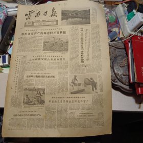 原版老报纸1期：《云南日报》1962年10月16日【有装订孔，品相如图】
楚雄县下白庙公社下白庙大队白土塘第二生产队交售公余粮。摄〕〔振华
潞西县蔓牛寨各农业生产合作社从地区和民族特点出发搞好生产
勐海县民族贸易公司
我们到昆明市著名老中医姚贞白家作了一次访问，适逢姚贞白的二儿子姚承济
曼勐养乡党支部
昆明呈贡区各公社的菓农们，挑选质量好的宝珠梨卖给国家。摄〕潘云明