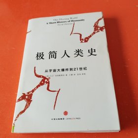 极简人类史：从宇宙大爆炸到21世纪