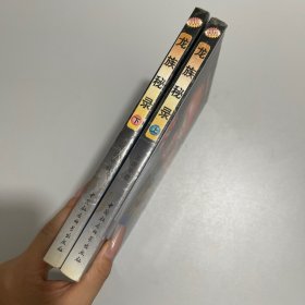 龙族秘录