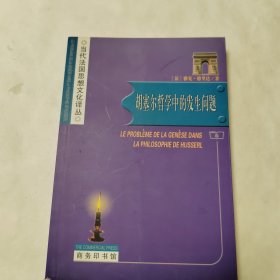 胡塞尔哲学中的发生问题