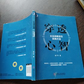 穿透心智：企业战略定位实践方法