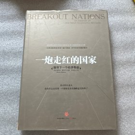 一炮走红的国家：探寻下一个经济奇迹
