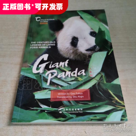 Giant panda